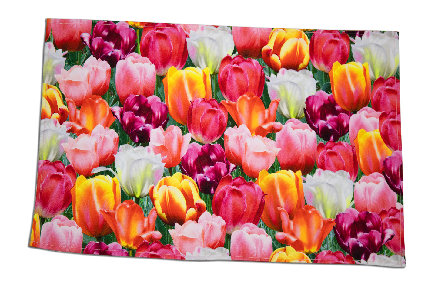 2 TOVAGLIETTE TULIPANI twill puro cotone