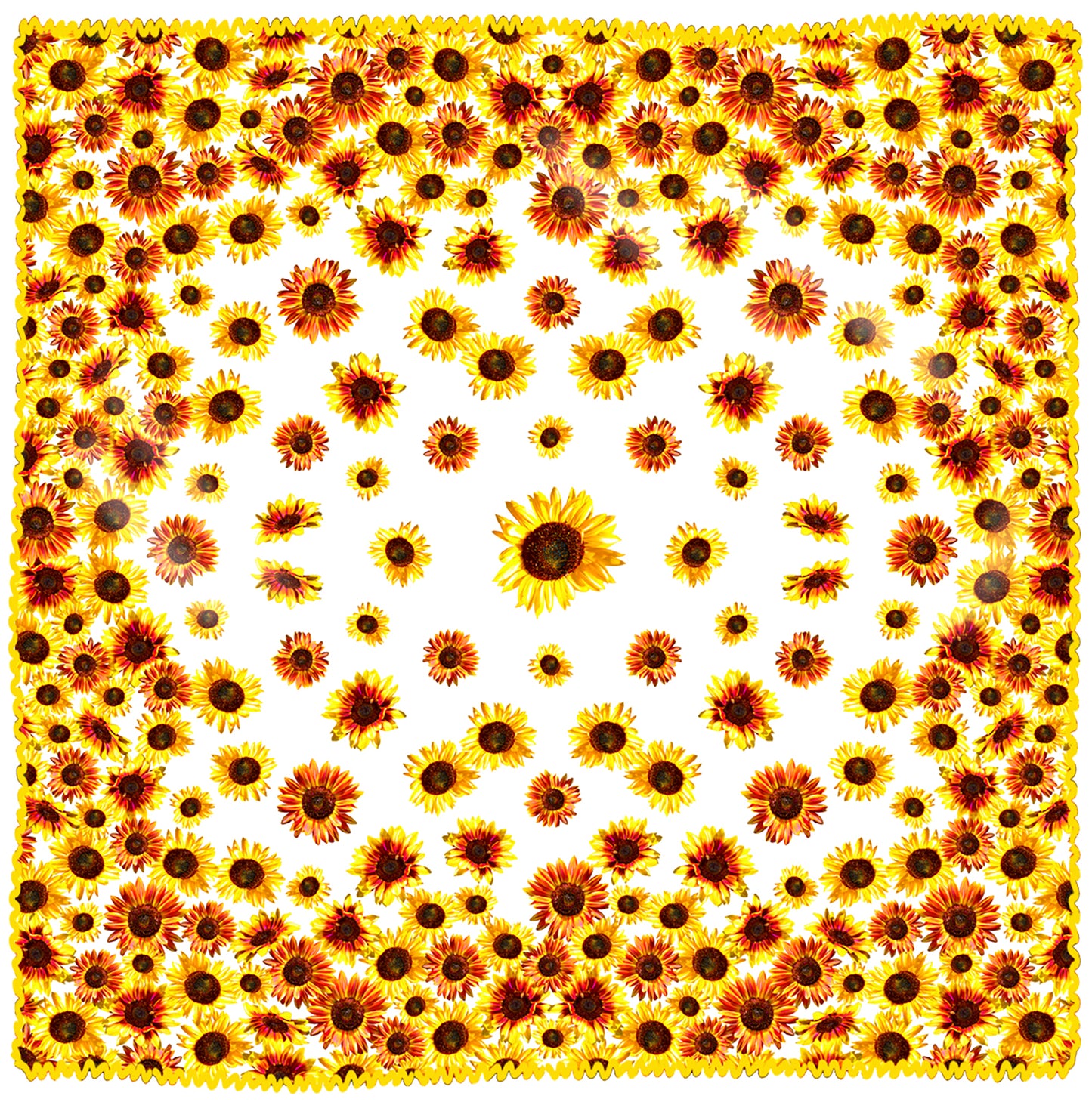TOVAGLIA PANNELLO GIRASOLI