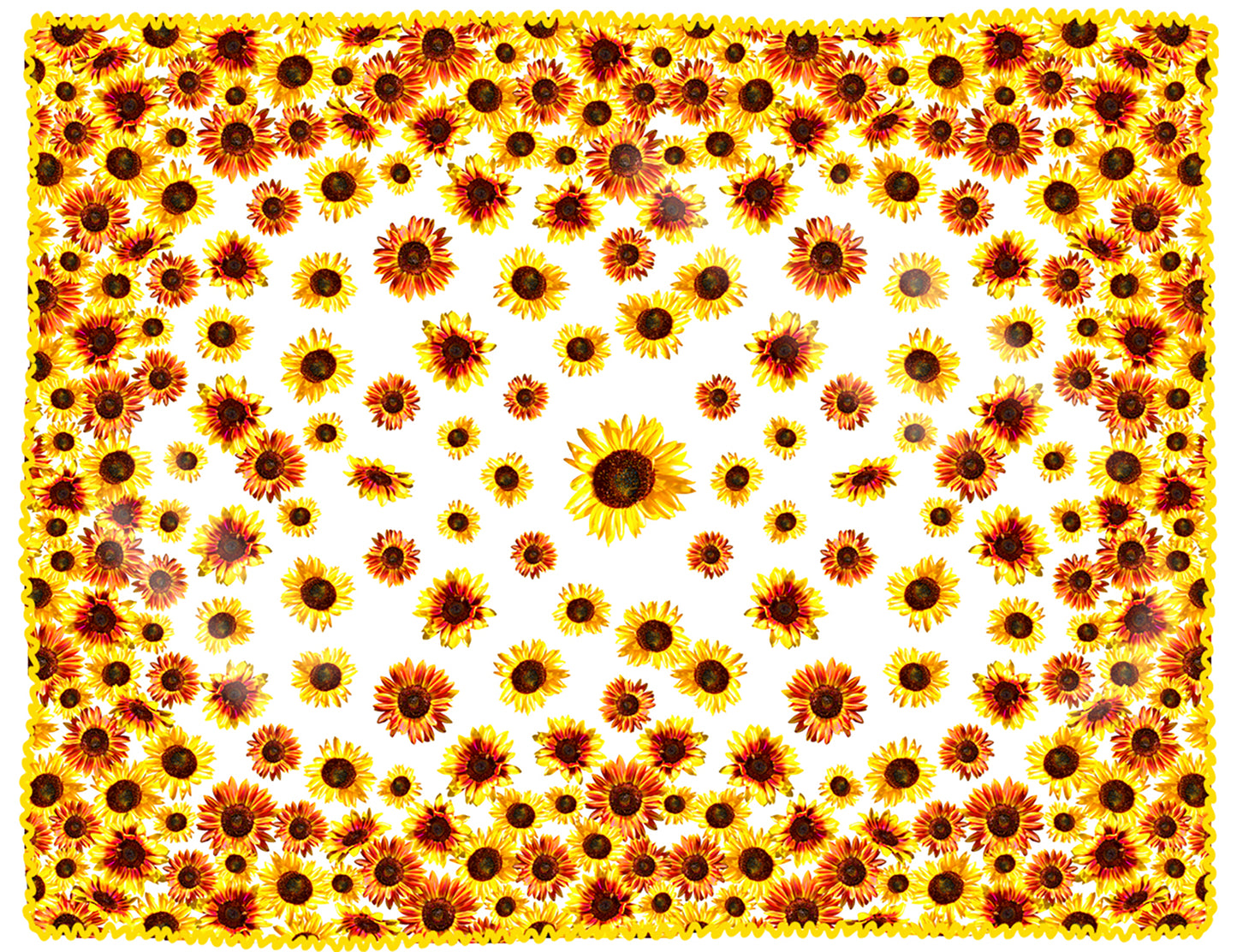 TOVAGLIA PANNELLO GIRASOLI