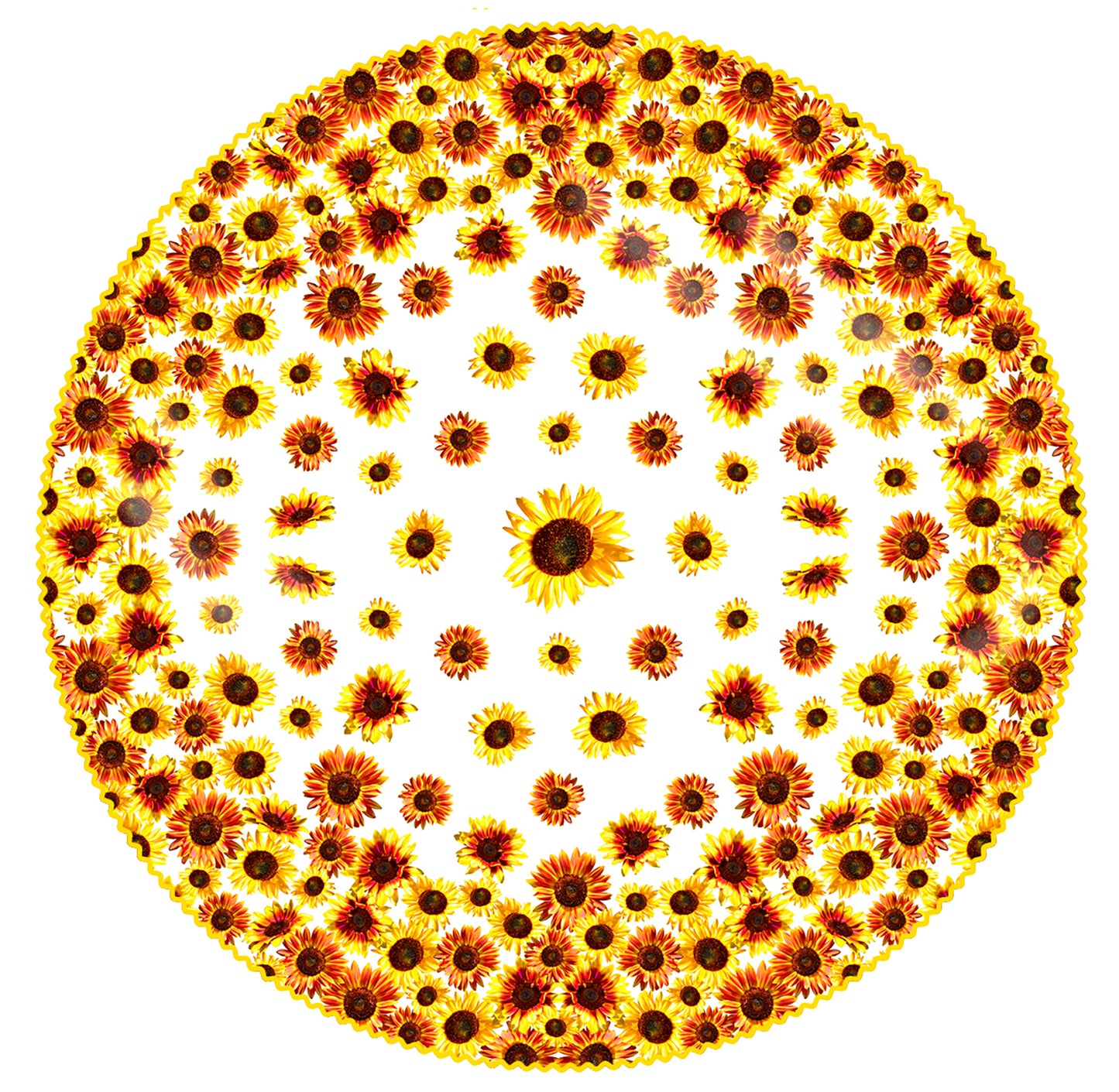 TOVAGLIA PANNELLO GIRASOLI