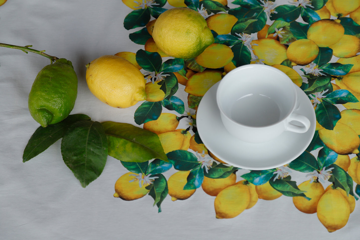 TOVAGLIA PANNELLO LIMONI