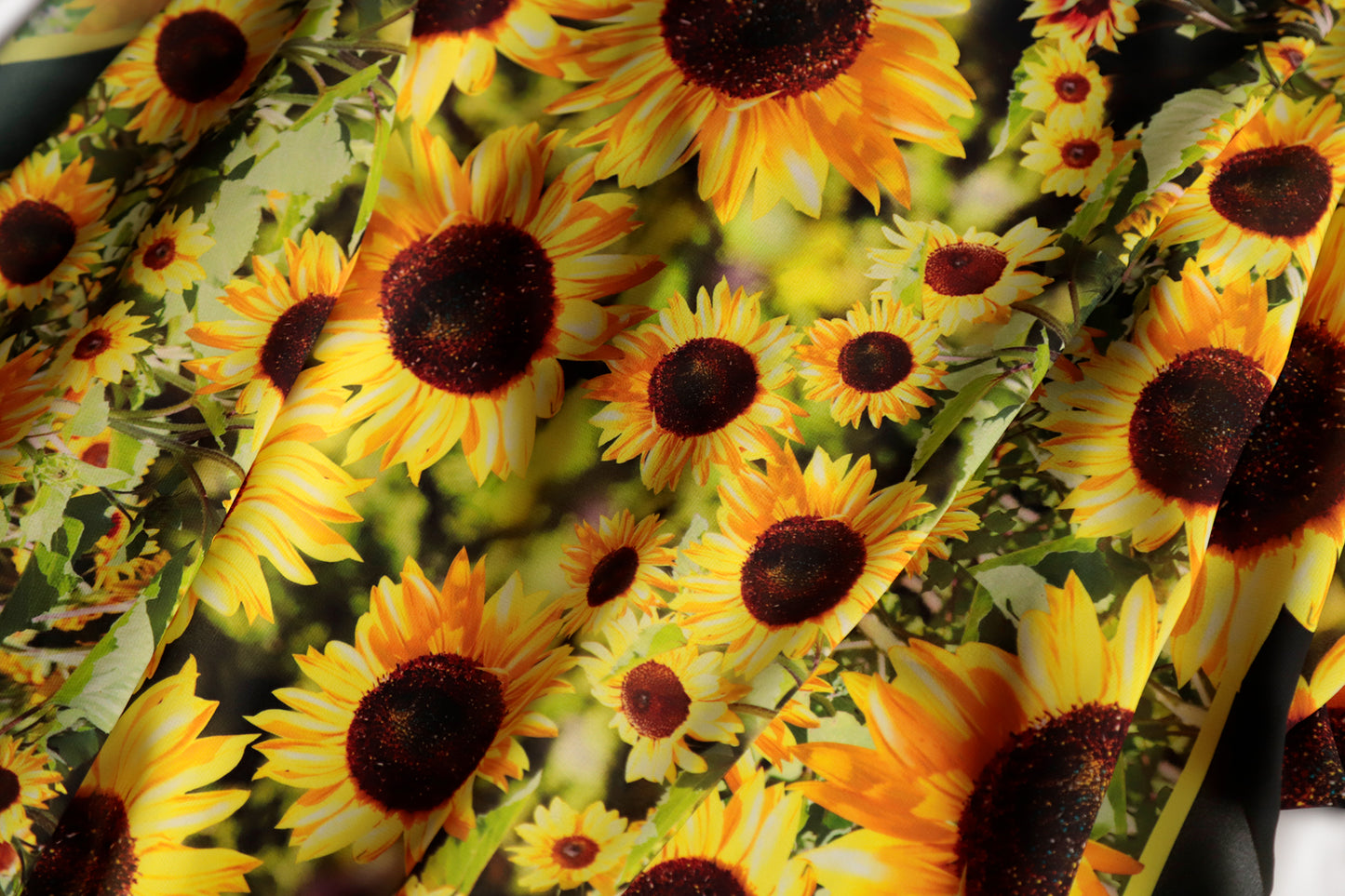 STOLA/PAREO CHIFFON GIRASOLI