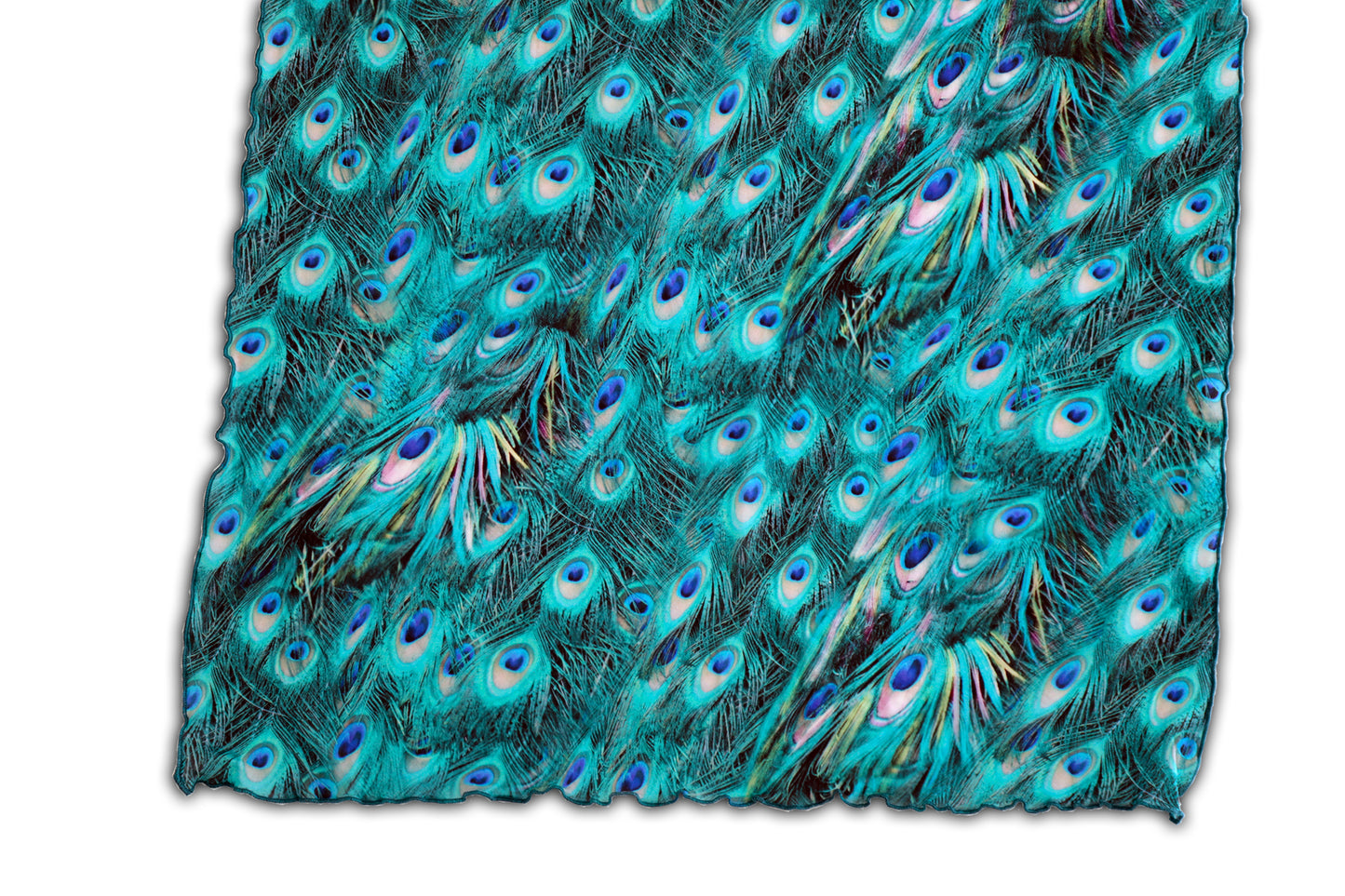 SCIARPA TULLE PAVONE