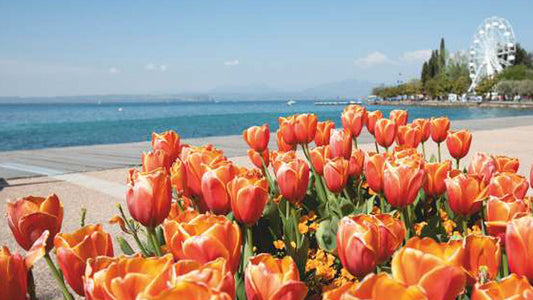 Pasqua a Bardolino 2026