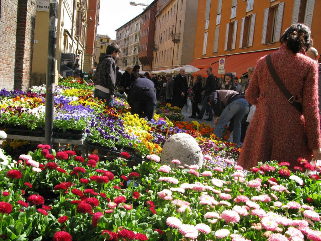 Modena in Fiore