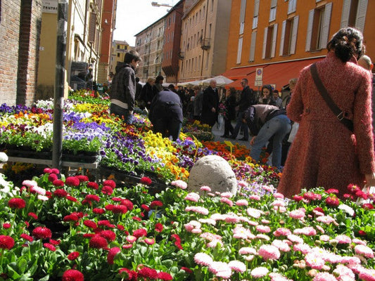 Modena in Fiore 2026 21 22 Marzo