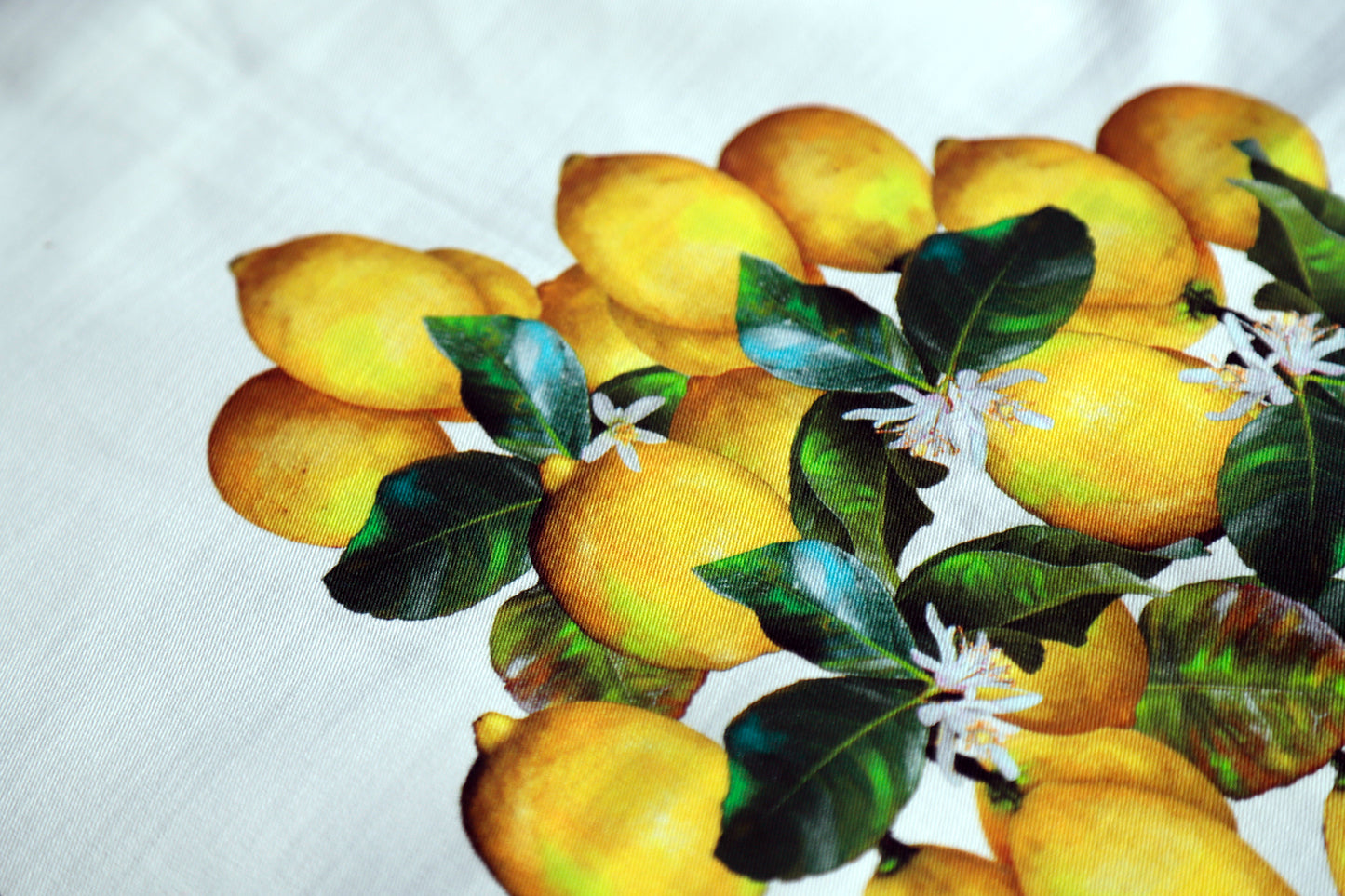 CENTROTAVOLA LIMONI twill puro cotone