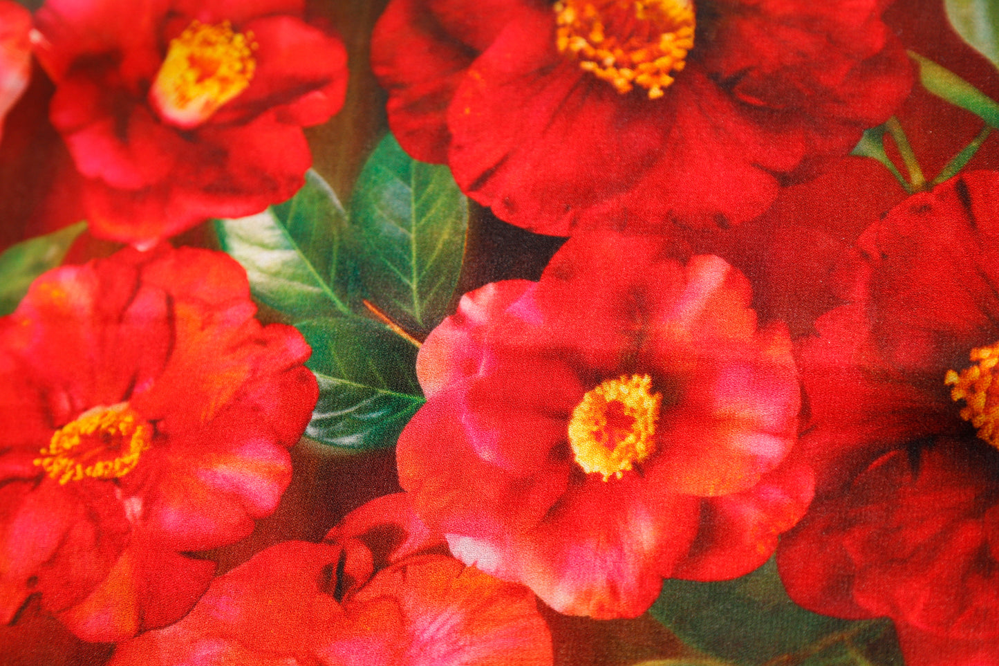 STOLA/PAREO GEORGETTE CAMELIE fondo nero