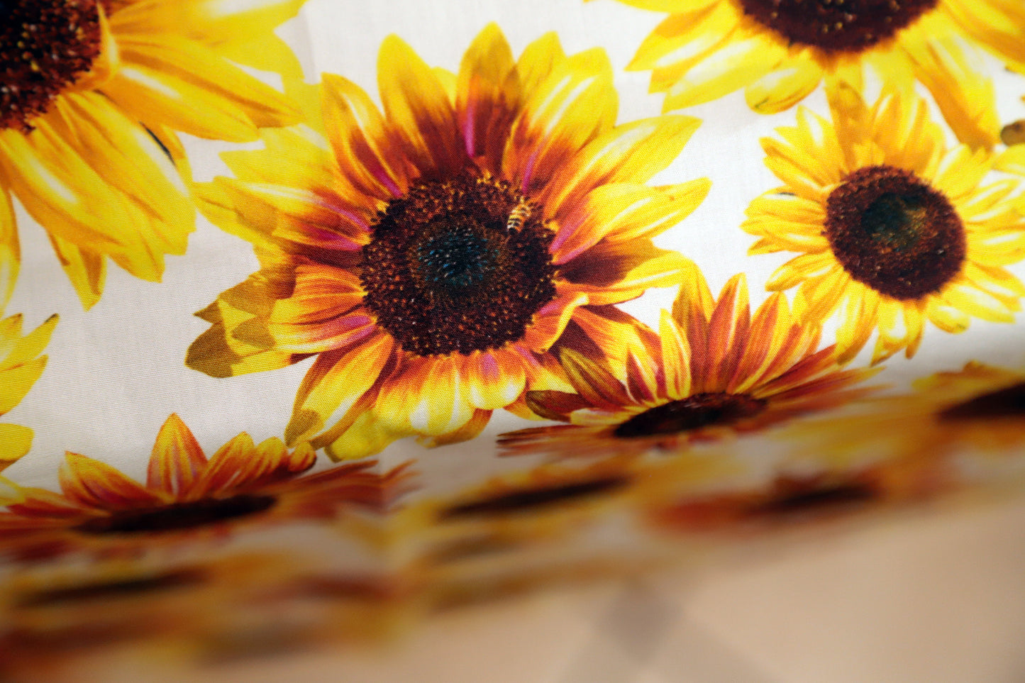 TOVAGLIA GIRASOLI tela puro cotone
