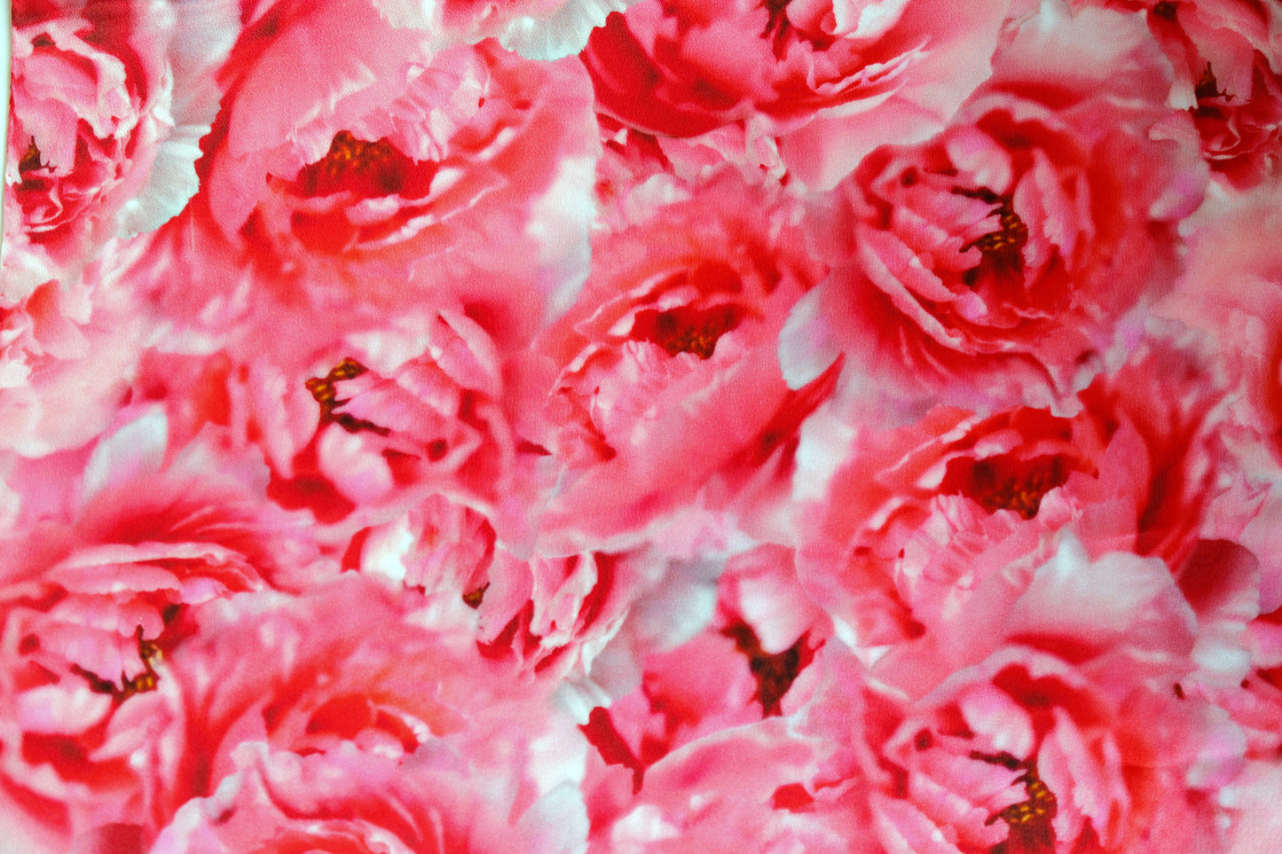 SCIARPA PURA SETA PEONIE